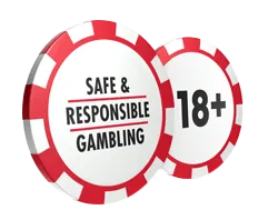 Responsible-Gambling lemon-casin0.ink